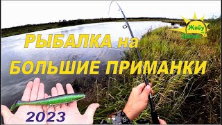 Рыбалка на Большие Приманки. Уже пора! Сезон 2023 открыт! by Живу на Земле 108,745 views 7 months ago 19 minutes