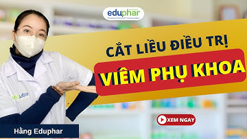 Cắt liều điều trị hiệu quả viêm nhiễm phụ khoa - Ds.Hằng Eduphar