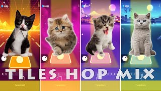 CUTE CATS SHAKIRA WAKA WAKA vs LADY GAGA BLOODY MARY vs SAVAGE vs BTS LOVE FAKE LOVE FULL TILES HOP