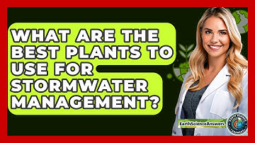 What Are The Best Plants To Use For Stormwater Management? - Earth Science Answers