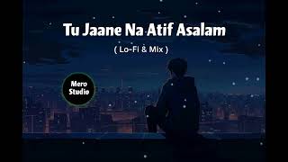 Tu Jaane Na 🫶💖 | Atif Asalam Songs | Lo-Fi - Mix Slowed & Reverb | Bollywood Songs | Mero Studio |