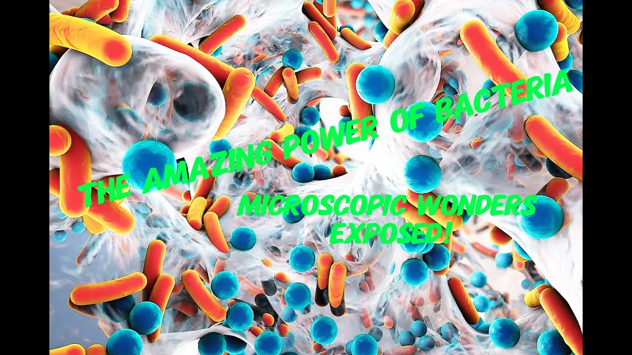 The Amazing Power of Bacteria: Microscopic Wonders Exposed - YouTube