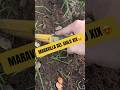 Qué moneda más curiosa!!! #extremadura #metaldetecting #monedas #money #parati