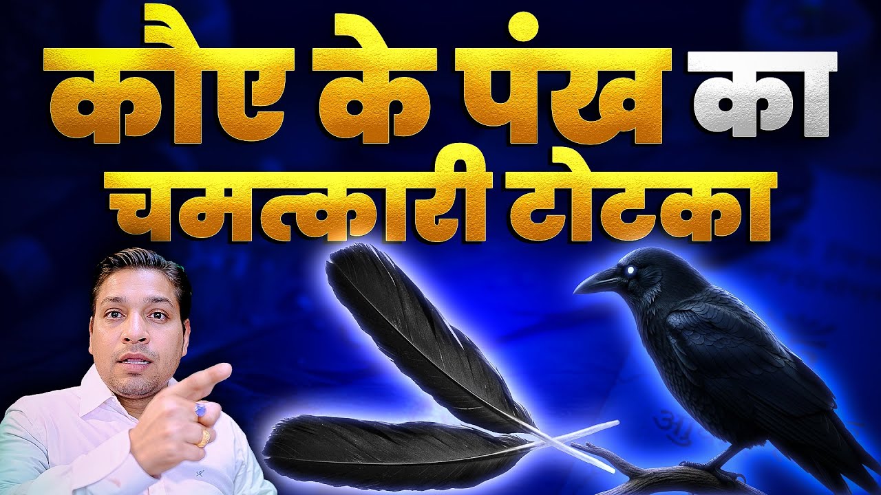 कोए का पंख कर सकता है बड़े बड़े काम | Instant Upays By Crow Feather #astrologytips