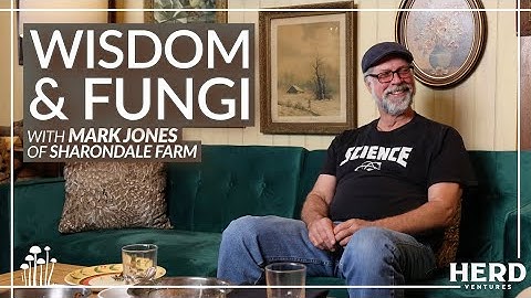 Language of the Land: Wisdom & Fungi with Mark Jones of Sharondale Farm