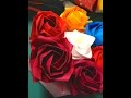 Kawasaki Rose 川崎ローズ（動画のみ）【一枚の紙からリアルなバラの花を折る】