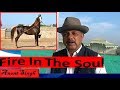 मारवाड़ी घोड़ा क्यों भारी विदेशी घोड़े पर Thoroughbred Horse Vs Indian Marwari Horse