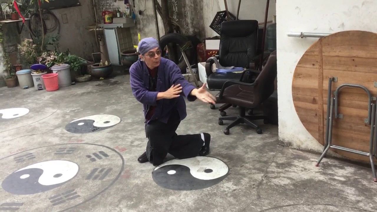 Master Zhang doing the ancient Tai Chi from Sacred Wudang Mountains (filmed by Master Daniel Mitel)