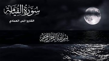 تلاوة جديدة رائعة للقارئ أنس العمادي II سورة القيامة