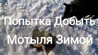 Как Добыть Мотыля Зимой!