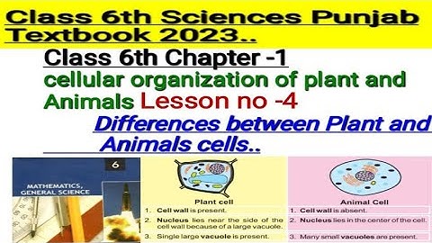 Class 6th science chapter 1| differences between Plant and animals cells|New Punjab textbook-2023|