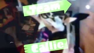 #TeamCallieSplatoon