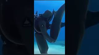 How to hypnotize a shark🦈