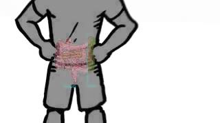 Renew Your Gut Health @nutritionhouse