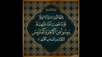 القارئ د.بريك سعد بريك
