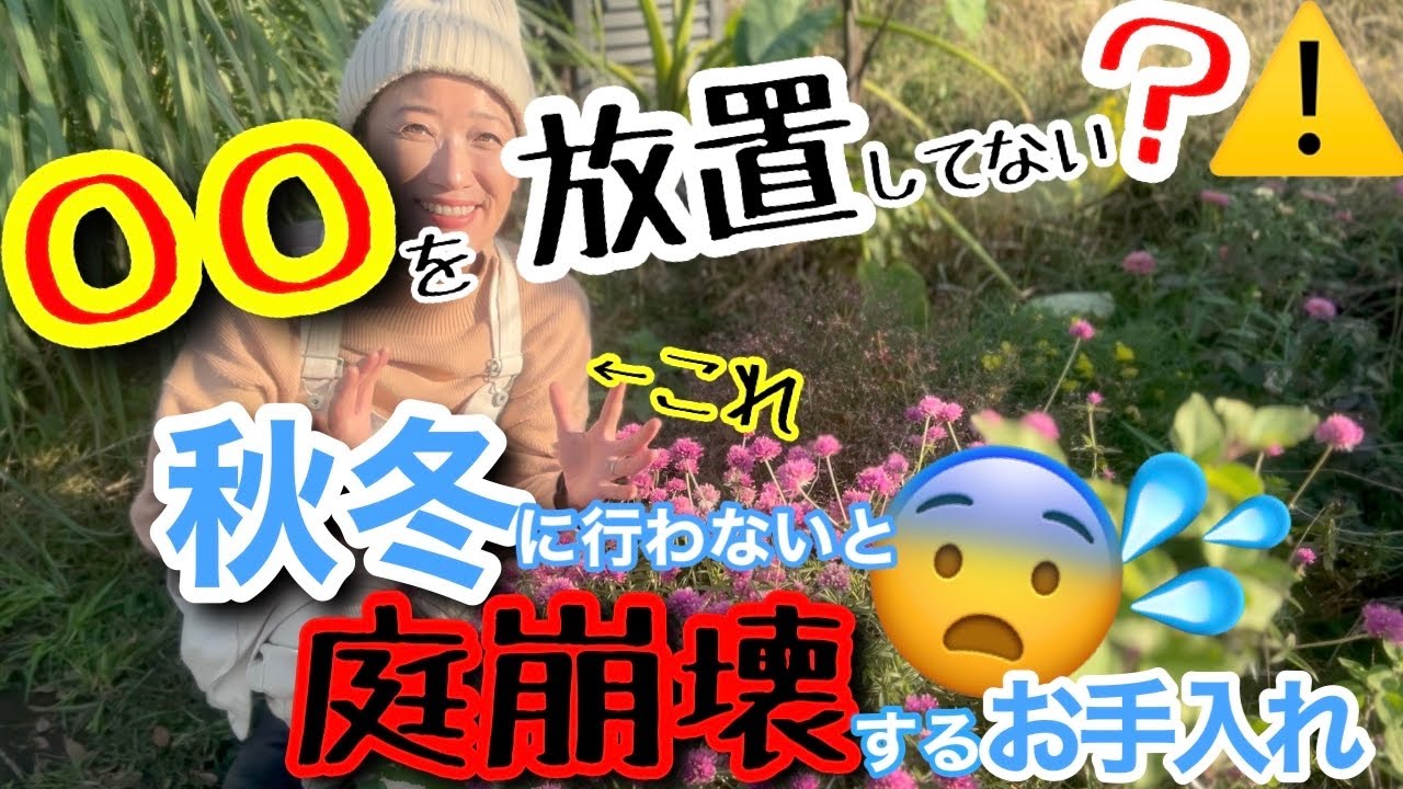 【放置厳禁🚫】今やらないと庭が崩壊、でも〇〇やればお庭が100倍輝く✨/ 今なら残す？残さない？の見分けが付きやすい‼️/ 残せば無料で花満開です🌸【ガーデニング】