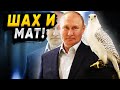 Путин сделал! Союзники Запада переходят на сторону России