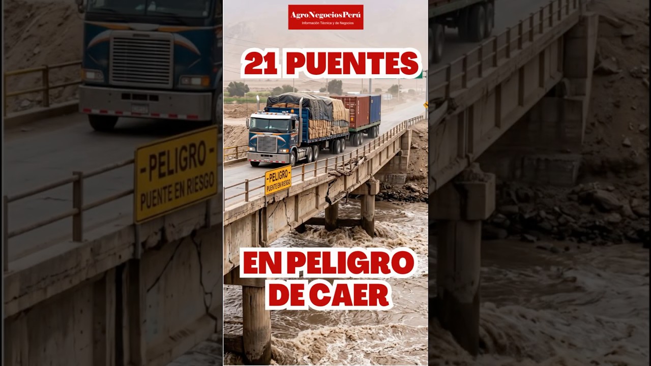 Camiones cruzan puentes en peligro de caer