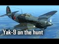 Yak-9 - Ace in a day +3 - IL-2: Great Battles