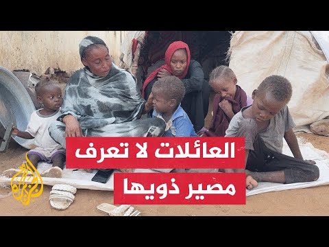 الأسر السودانية تواجه مأساة المفقودين في شمال كردفان وسط أزمة إنسانية حادة
