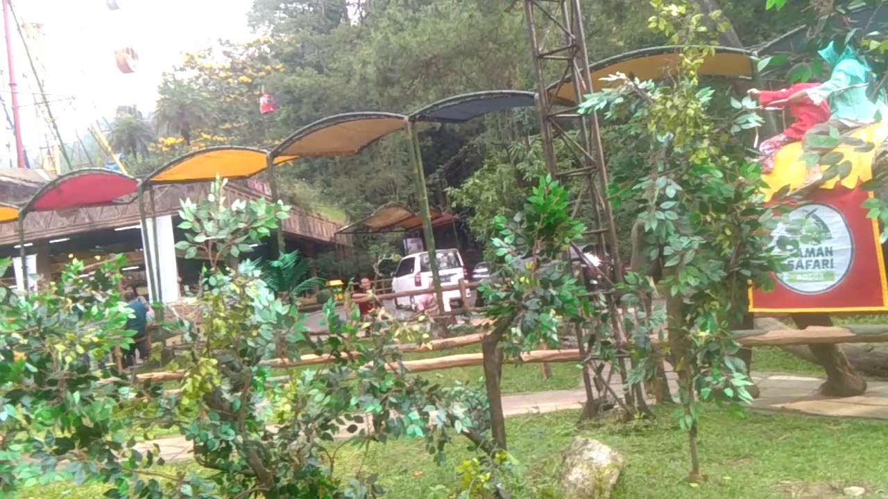 Naik Gajah Di Taman Safari Di Bogor
