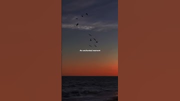Thumbnail of Can you feel the love tonight?