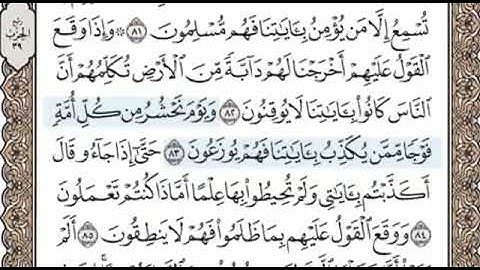 سورة النمل الصفحة 384 الشيخ محمد صديق المنشاوي