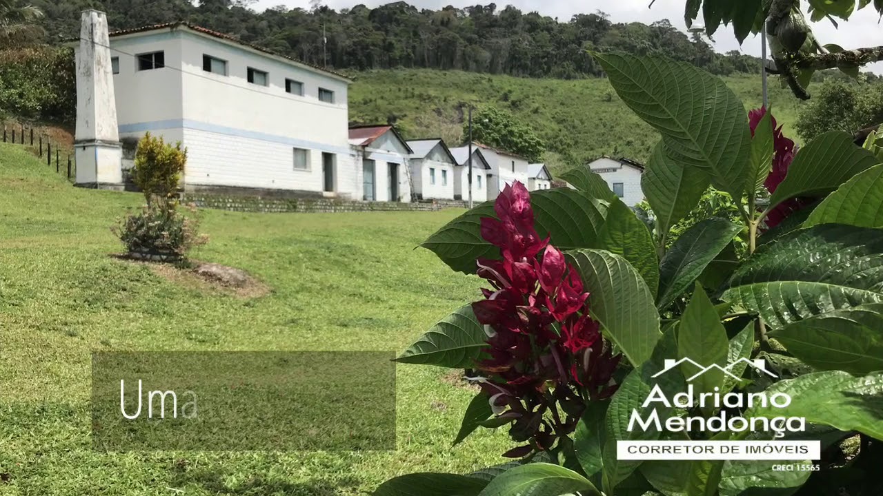 Fazenda de cacau 278 ha Sul da Bahia