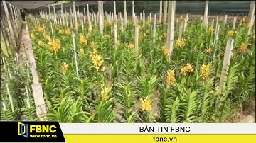 FBNC - Sẽ nâng gói tín dụng cho nông nghiệp công nghệ cao lên 100.000 tỷ đồng