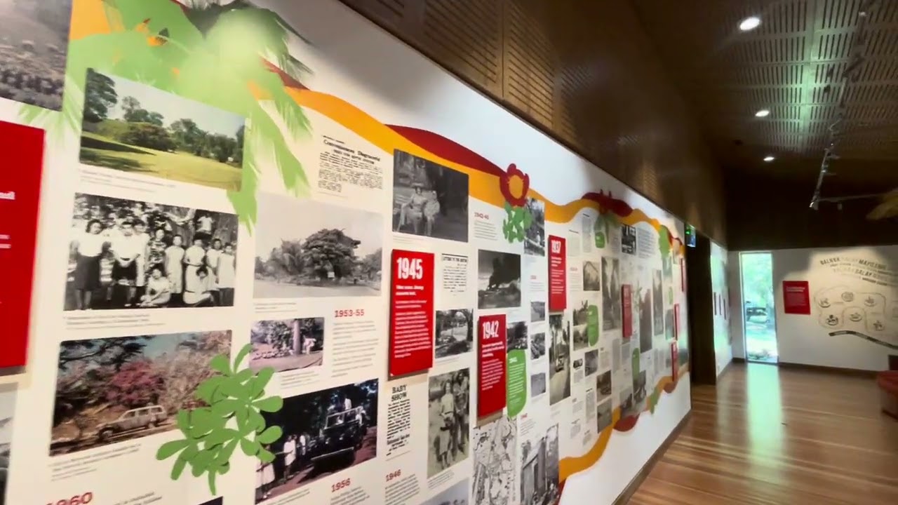 Museum & Art Gallery of the NT, Darwin, Top End, Northern Territory, Australia