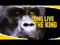 Long Live The King | Official Trailer