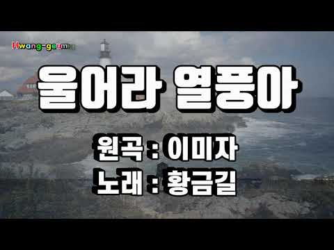[Cover]  황금길 - 울어라 열풍아 (원곡 /이미자) 영상가사