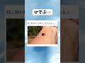 我慢くらべと行こうか… #shorts #おすすめ #すごい #おもしろ #海外#バズれ