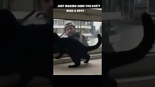 you missed a spot 🐈‍⬛️🐾 #funnyanimals #shortsvideo #animals #cats #catshorts #cat #catvideos