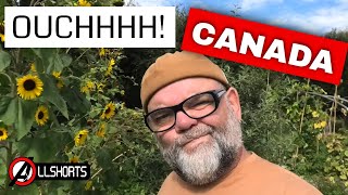 Download Lagu Canada doet de VS pijn #elbowsup #boycottusa MP3 Download Lagu Canada doet de VS pijn #elbowsup #boycottusa MP3