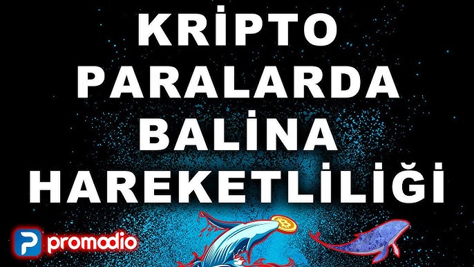 ceek coin gate io listelemesi ceek gate listeleme youtube