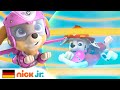 PAW Patrol | Die Welpen schicken eine Nachricht an die Aliens | Nick Jr. Deutschland