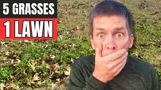 Fix an Ugly Lawn Full of Weeds with 5 Grass Types by Lawn Care Life 3,504 views 3 months ago 12 minutes, 35 seconds