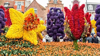 Тысячи туристов со всего мира приехали в Нидерланды на знаменитый парад цветов