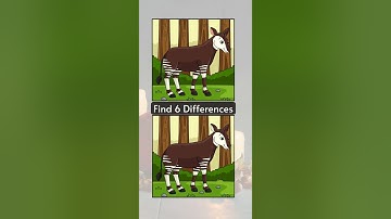 How Many Differences Can You Spot? Test Your Observation!