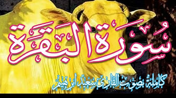 تلاوة هادئة لسورة البقرة تريح القلب❤والعقل تنسيك الدنيا وهمها💚قران كريم جميل جدا تشعر براحة نفسية