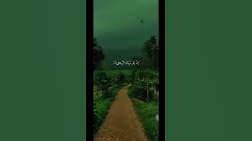 ﴿ كَلَّا إِنَّ الْإِنسَانَ لَيَطْغَىٰ﴾#سورة_العلق #محمد_صديق_المنشاوي #قران_كريم #قران