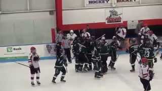 EHL Bobcats-Junior Titans Highlights, January 25, 2015