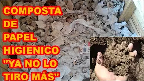 O que é feito com o papel higiênico usado?