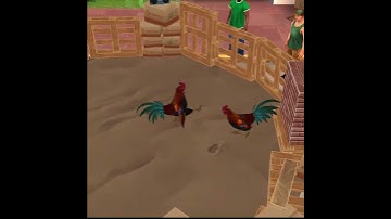 Gangs Fighter Mobile Action Game  013 CockFight 1x1