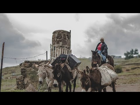 Spin My World Around (Zirto 68 & ArcticDeep's Bootleg) - YouTube