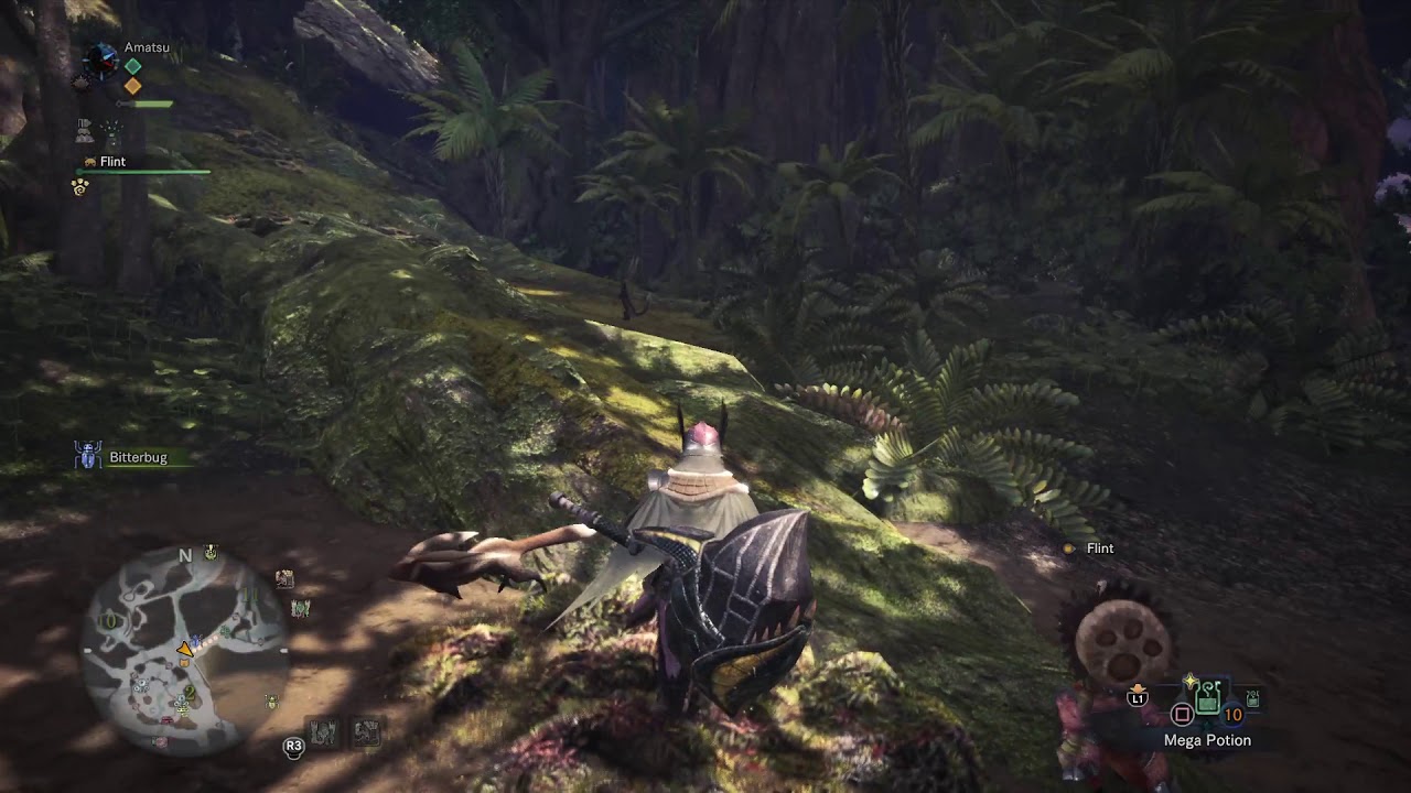 Confused Shepherd Hare