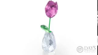Swarovski Crystal Flower Dreams Pink Tulip