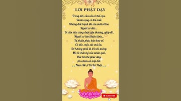 Lời Phật Dạy: Có Đức Mặc Sức Mà Ăn – Nhân Quả Báo Ứng #phatphap #loiphatday #nhanqua #baoung #phat