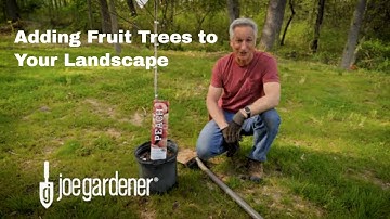 Adding Fruit Trees to Your Garden and Landscape